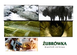 Свідоцтво торговельну марку № 308049 (заявка m201931489): відкрий легенду; zubrowka