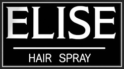 Заявка на торговельну марку № m202313866: elise hair spray