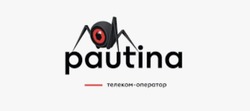 Заявка на торговельну марку № m202406914: телеком-оператор; pautina