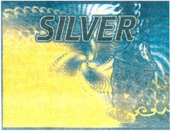 Свідоцтво торговельну марку № 83030 (заявка m200601197): silver