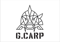 Свідоцтво торговельну марку № 345410 (заявка m202208035): g.carp