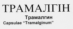 Заявка на торговельну марку № 98041629: трамалгін трамалгин tramalginum