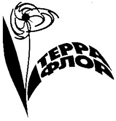 Свідоцтво торговельну марку № 53023 (заявка 20031212621): teppa; терра; флор