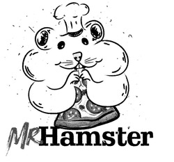 Заявка на торговельну марку № m202020387: mr hamster