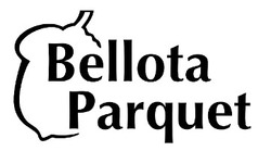 Заявка на торговельну марку № m201922805: bellota parquet