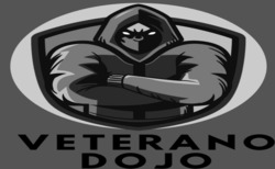 Свідоцтво торговельну марку № 345671 (заявка m202205262): veterano dojo