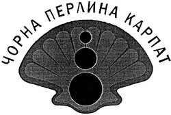 Заявка на торговельну марку № 20040809152: чорна перлина карпат; чорна перлина kapnat