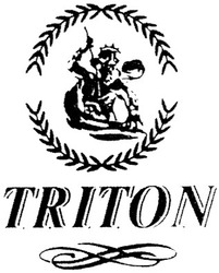 Свідоцтво торговельну марку № 66317 (заявка 20041213418): triton