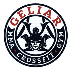 Свідоцтво торговельну марку № 226568 (заявка m201627057): geliar; mma crossfit gym