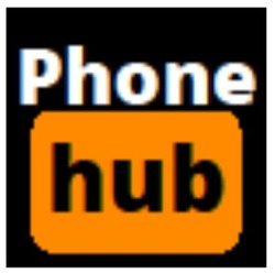 Заявка на торговельну марку № m202305231: phone hub