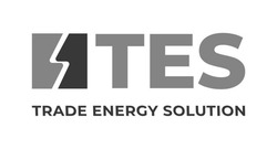 Заявка на торговельну марку № m202402596: trade energy solution; tes