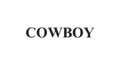 Заявка на торговельну марку № m201811607: cowboy