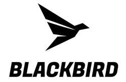 Заявка на торговельну марку № m202403994: blackbird