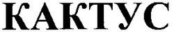 Свідоцтво торговельну марку № 63187 (заявка 20040909267): кактус; kaktyc