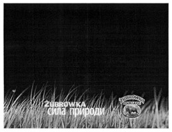 Заявка на торговельну марку № m201518928: zubrowka bison grass; сила природи