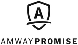 Свідоцтво торговельну марку № 310134 (заявка m201926967): amway promise; а