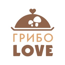 Свідоцтво торговельну марку № 309852 (заявка m201933304): грибо love