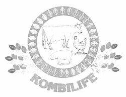 Свідоцтво торговельну марку № 158934 (заявка m201111186): kombilife