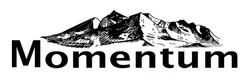 Заявка на торговельну марку № m202324535: momentum