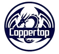 Заявка на торговельну марку № m202114029: coppertop