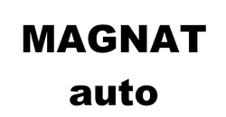 Заявка на торговельну марку № m202117150: magnat auto