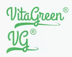 Свідоцтво торговельну марку № 303581 (заявка m201823016): vg; vita green; vitagreen
