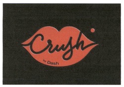 Заявка на торговельну марку № m202301709: crashbydash; crash by dash