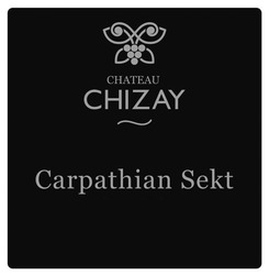 Заявка на торговельну марку № m202310815: chateau chizay carpathian sekt