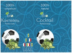 Заявка на торговельну марку № m201119769: 100% натурально; біо коктейль; енергія трав; 2012; 100% natural; bio cocktail; herbal energy; турнірна таблиця