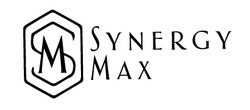 Свідоцтво торговельну марку № 338056 (заявка m202125356): synergy max; sm; ms
