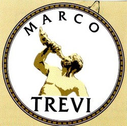 Заявка на торговельну марку № 99114300: marco trevi