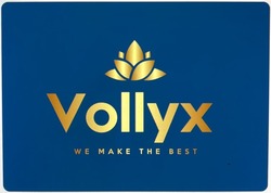 Заявка на торговельну марку № m202404388: volyx we make the best