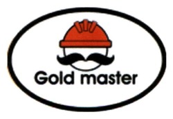 Заявка на торговельну марку № m201729835: gold master