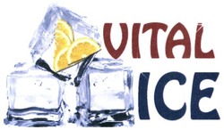Заявка на торговельну марку № m201608949: vital ice