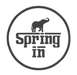 Свідоцтво торговельну марку № 250734 (заявка m201705173): spring in