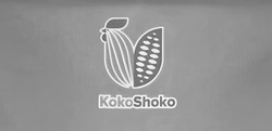 Заявка на торговельну марку № m202204261: коко; koko shoko; kokoshoko