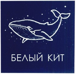 Свідоцтво торговельну марку № 302726 (заявка m201924143): белый кит