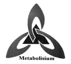 Заявка на торговельну марку № m201415414: metabolisium