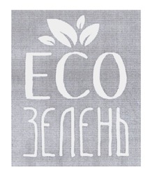 Заявка на торговельну марку № m202106544: eco; есо зелень