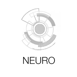 Заявка на торговельну марку № m202408045: neuro