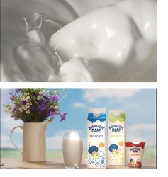 Свідоцтво торговельну марку № 308963 (заявка m201923435): волошкове поле; йогурт; кефір; молоко