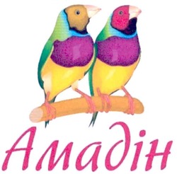 Свідоцтво торговельну марку № 139407 (заявка m201008529): amadih; амадін