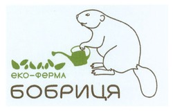 Заявка на торговельну марку № m201507338: еко-ферма бобриця