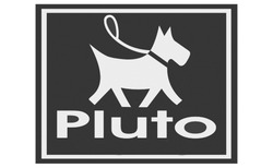 Свідоцтво торговельну марку № 174726 (заявка m201214438): pluto