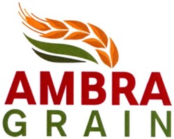 Заявка на торговельну марку № m202018936: ambra grain