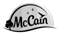 Заявка на торговельну марку № m202309808: mc cain; mccain