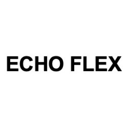 Свідоцтво торговельну марку № 326755 (заявка m202001827): echo flex