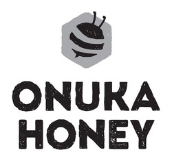 Заявка на торговельну марку № m202025322: onuka honey