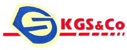 Свідоцтво торговельну марку № 113438 (заявка m200821135): cgs; со; es; se; sg; kgs&co