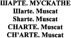 Заявка на торговельну марку № m201309048: шарте. мускатне; sharte. muscat; charte. muscat; ch'arte. muscat; шarte. muscat